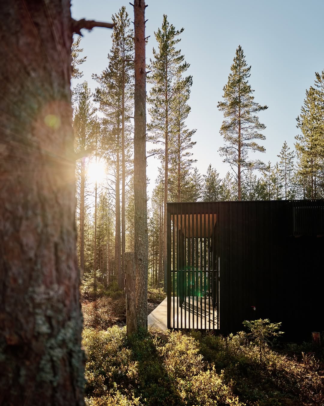 Digital detox cabin in Swedish forest
