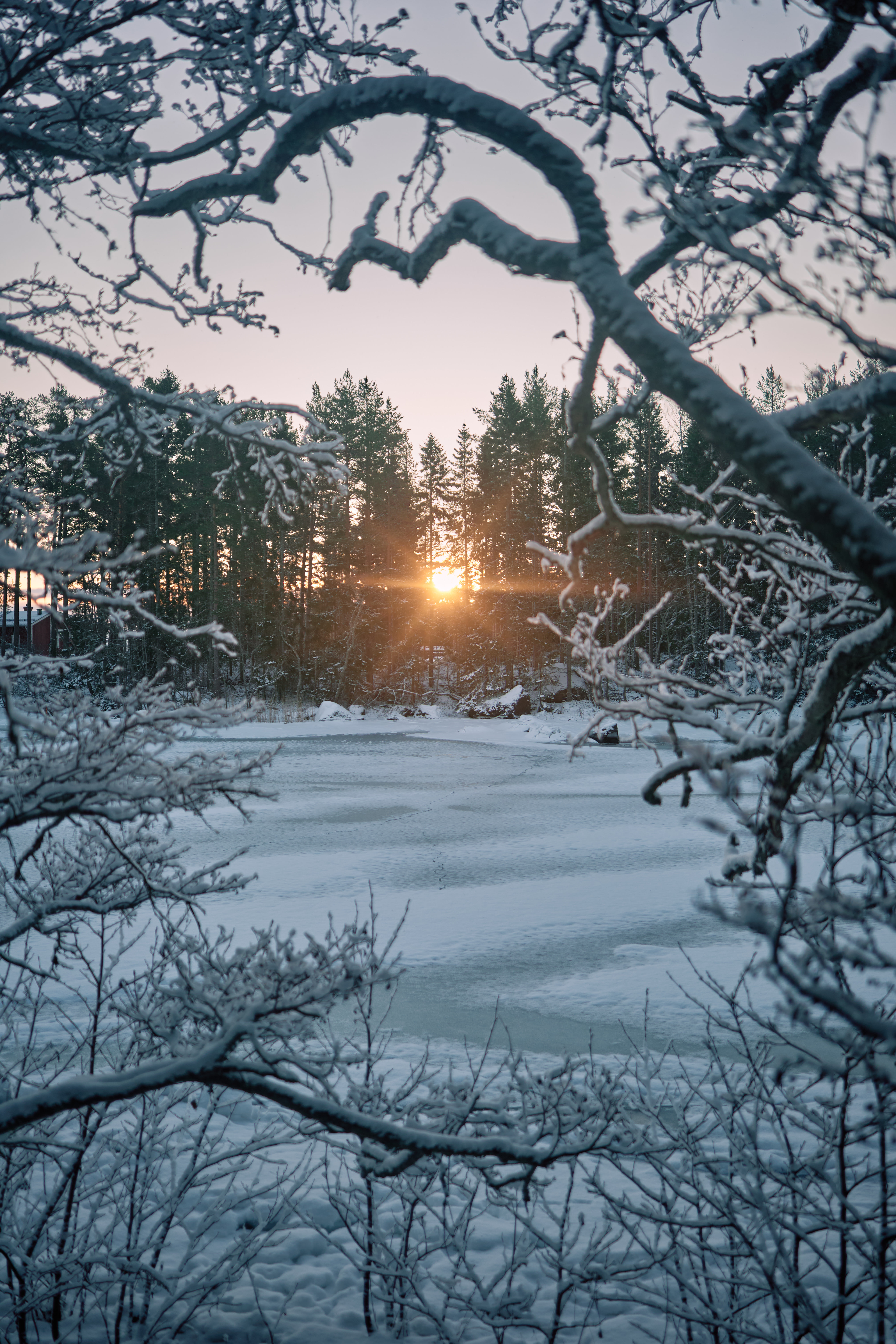 Forest cabin in Sweden