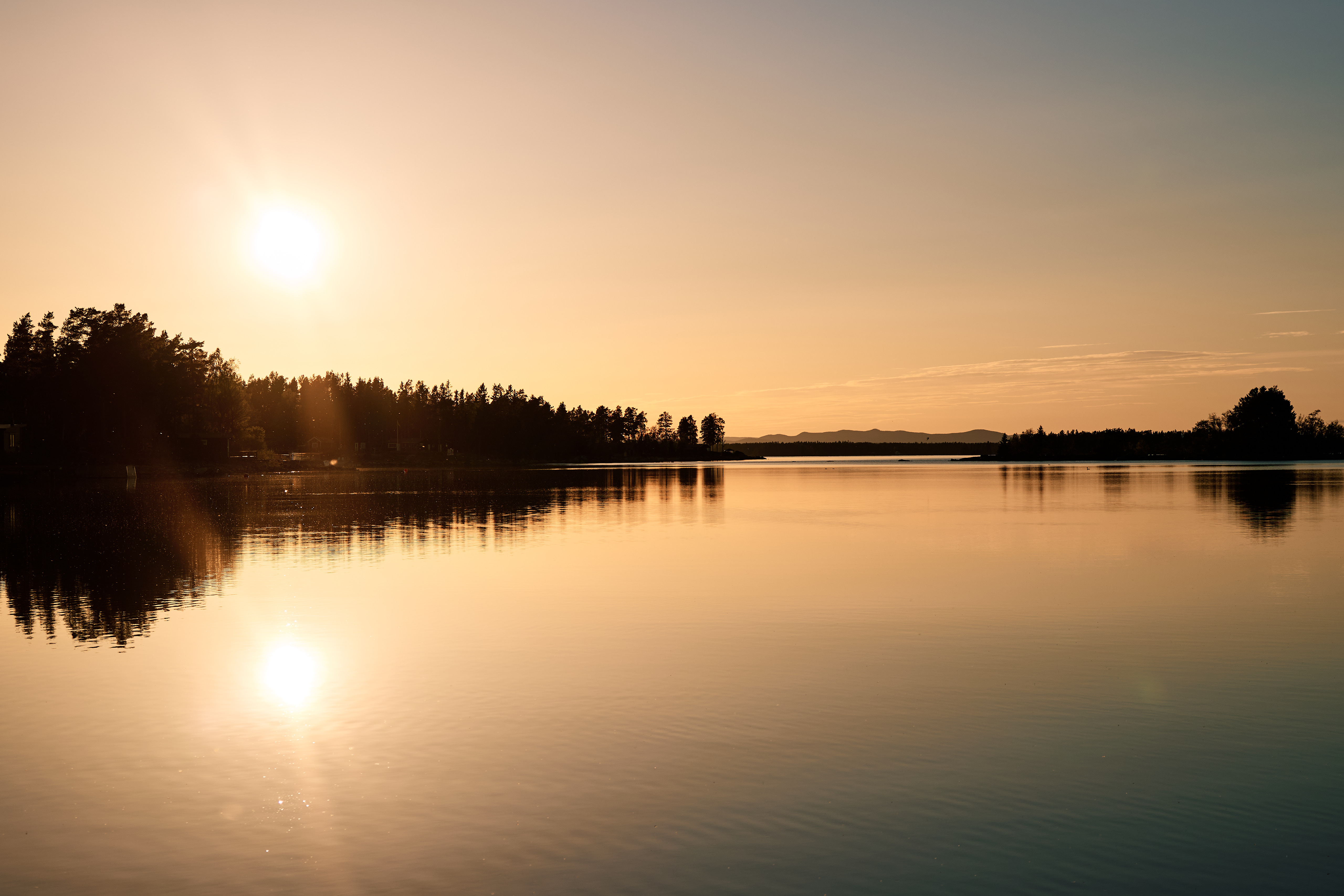 Interior of the forest cabin showing charred timber, large windows, and minimal furnishings