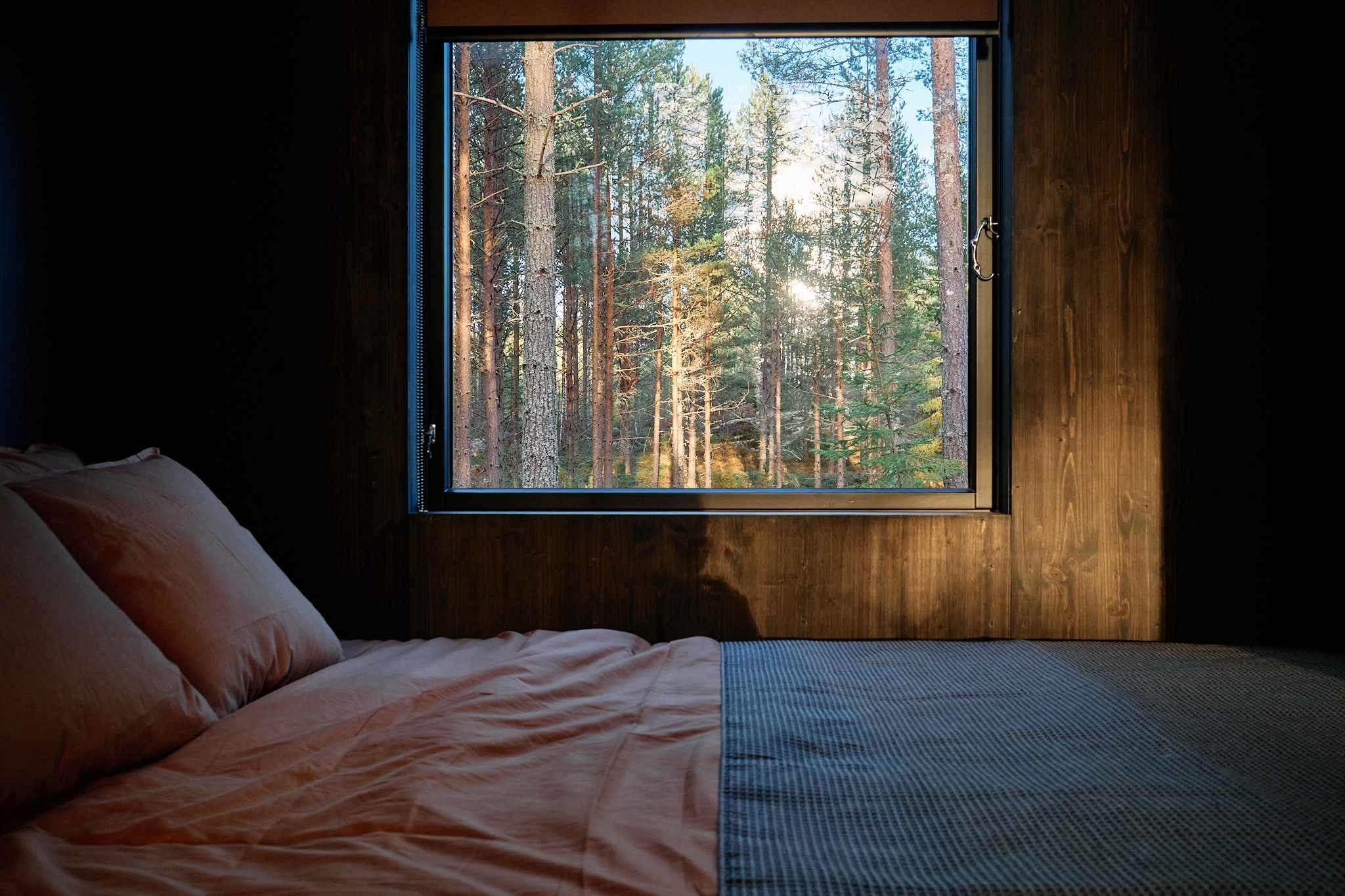 View of the cabin through the forest trees