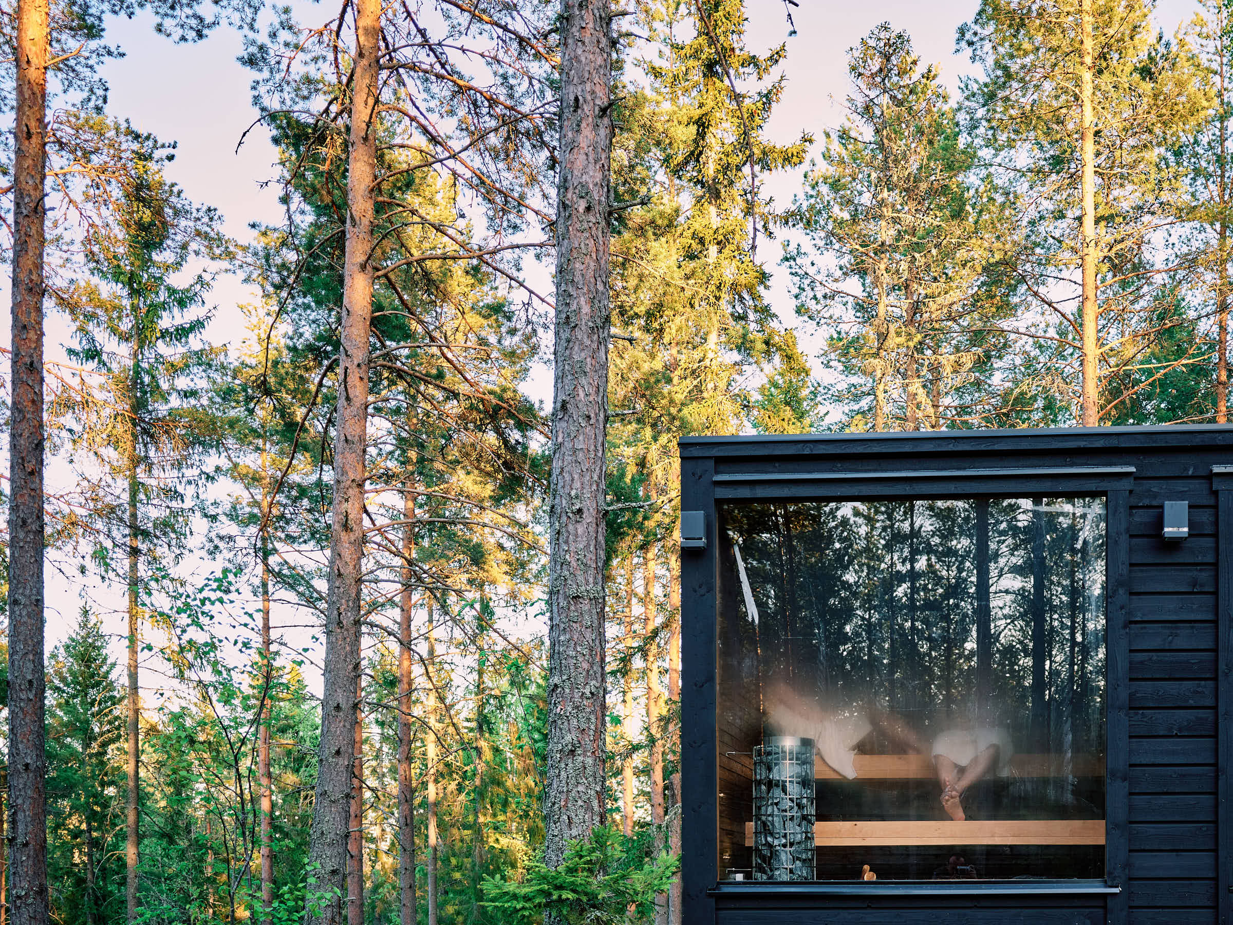 Baltic coast view from the cabin sauna at Hop Farm Beach