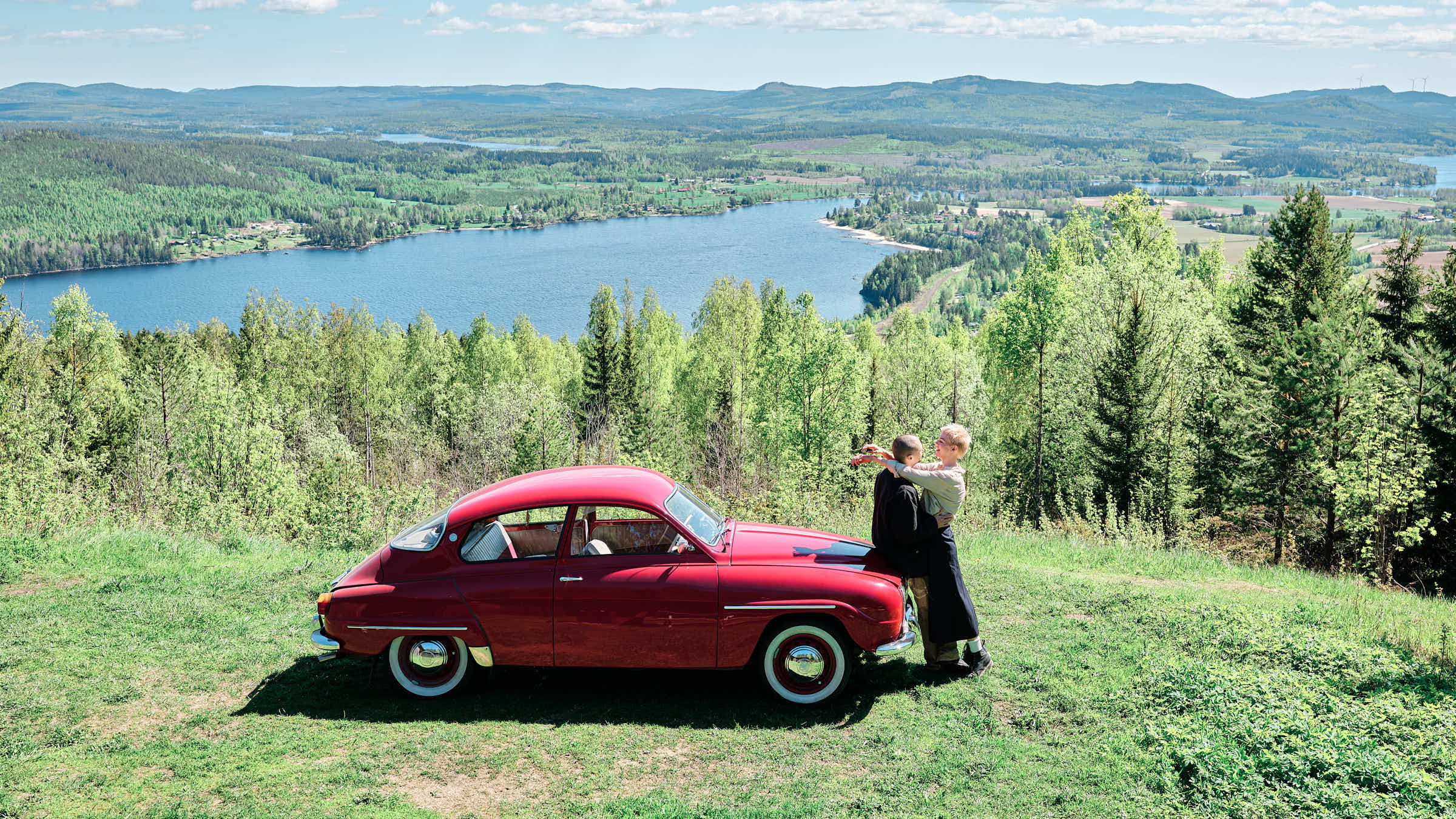 Spring light on the Swedish Baltic coast — golden hour through the pines