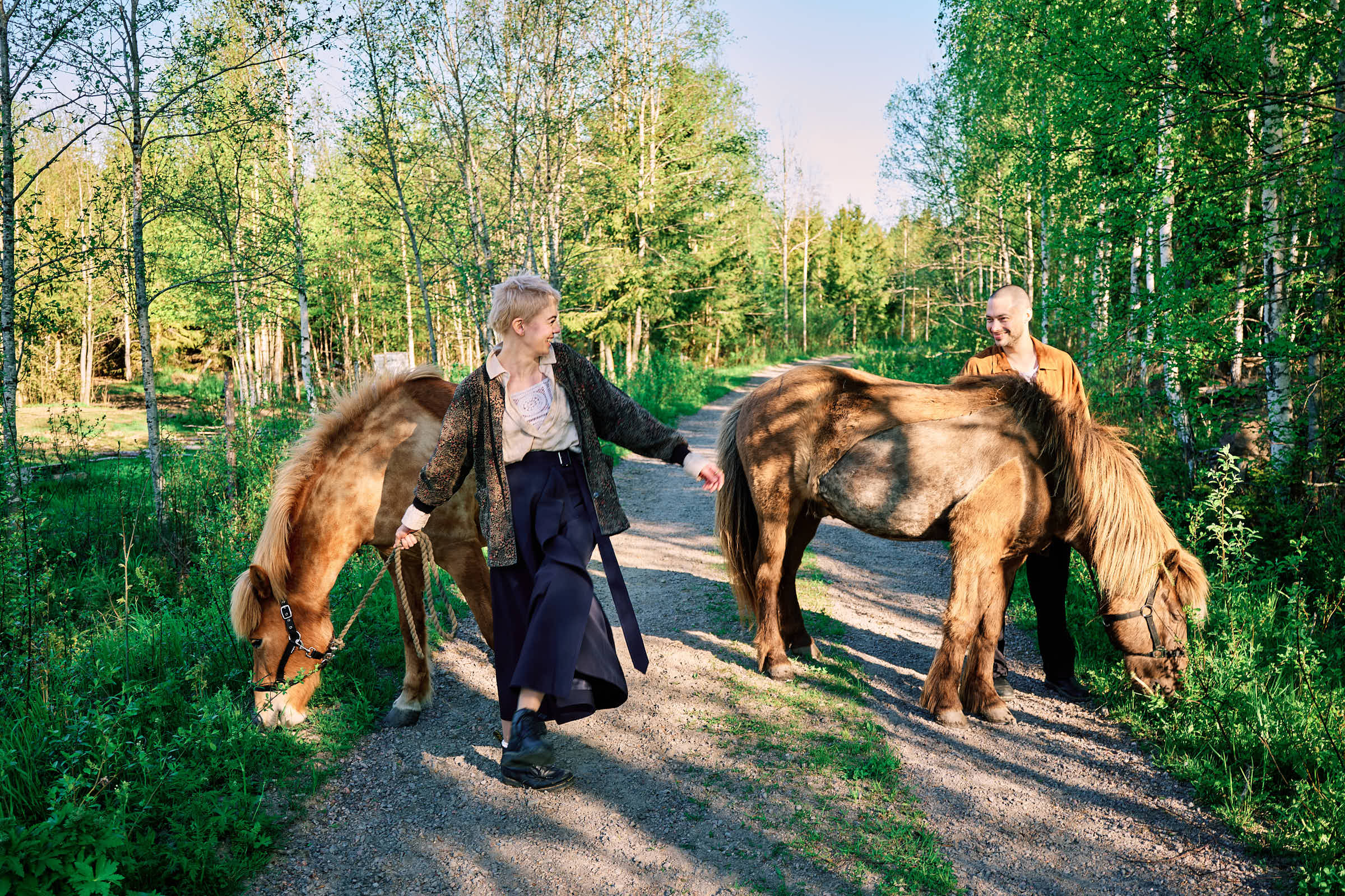 Forest trail in Hälsingland during spring — birch trees and new growth
